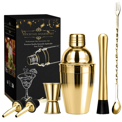 Professional 6 Piece Cocktail Shaker Set