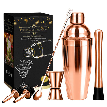 Professional 6 Piece Cocktail Shaker Set
